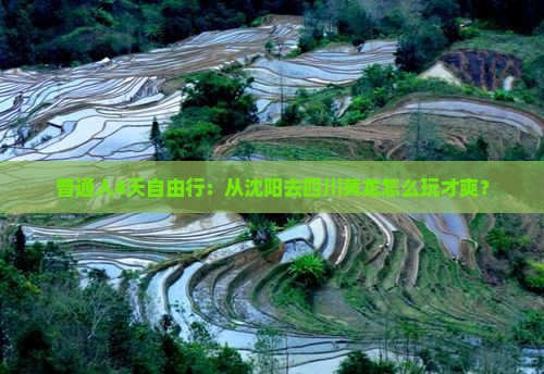 沈阳到四川黄龙四日游