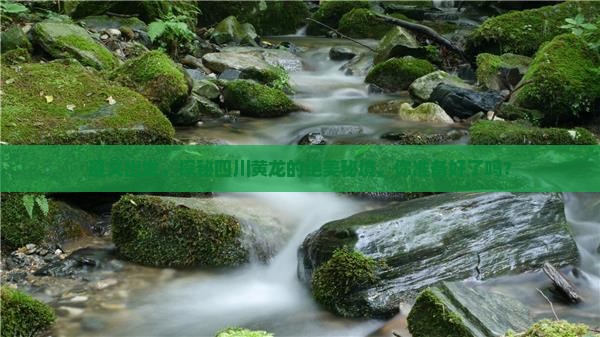 遵义到四川黄龙旅游
