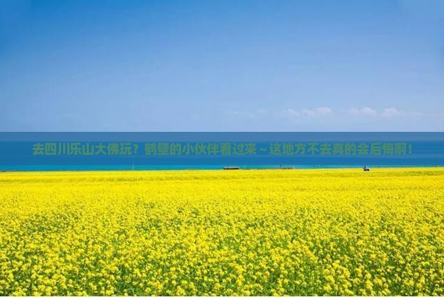 鹤壁去四川乐山大佛必去地