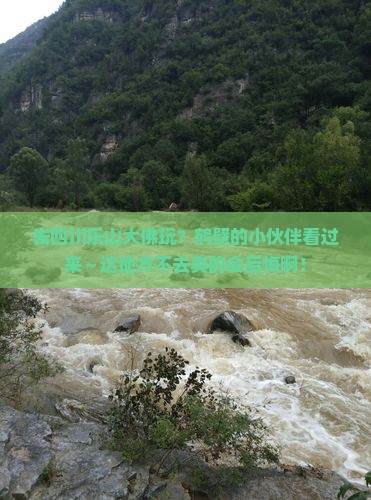 鹤壁去四川乐山大佛必去地
