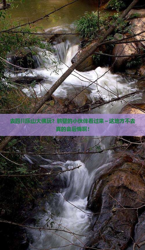 鹤壁去四川乐山大佛必去地