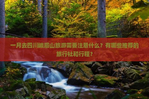 一月到四川峨眉山旅行社