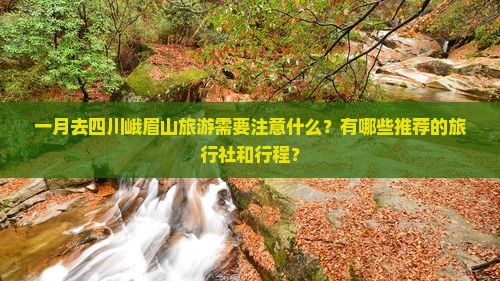 一月到四川峨眉山旅行社