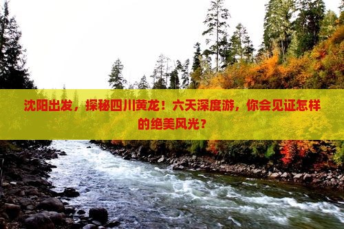 沈阳去四川黄龙六日游