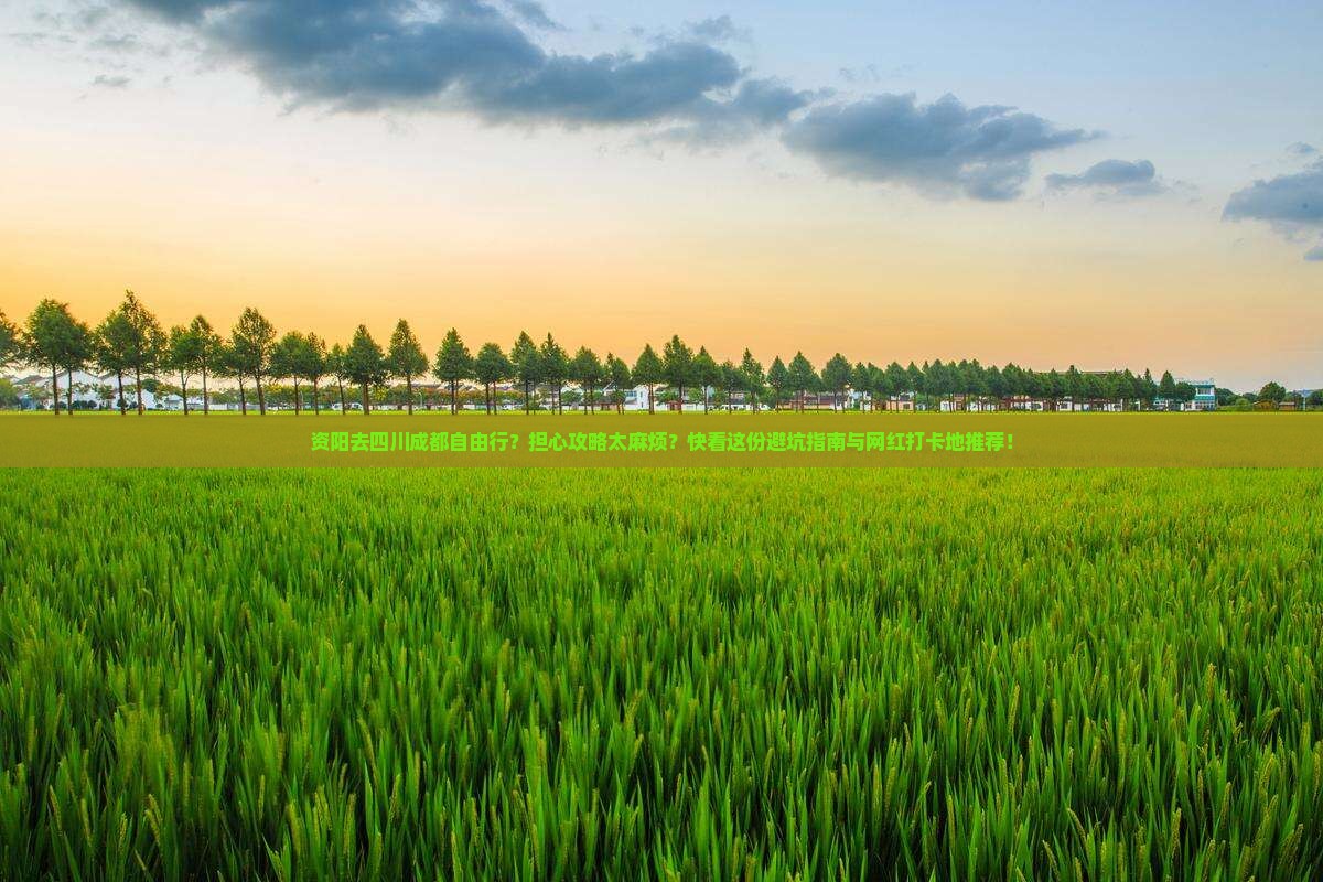 资阳去四川成都自由行