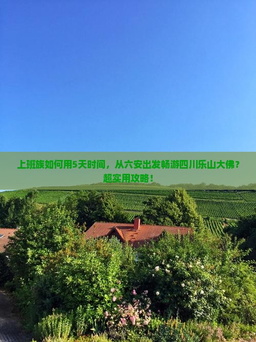 六安去四川乐山大佛五日游