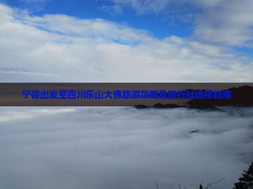 宁德去四川乐山大佛旅行社
