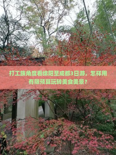 绵阳去四川成都三日游