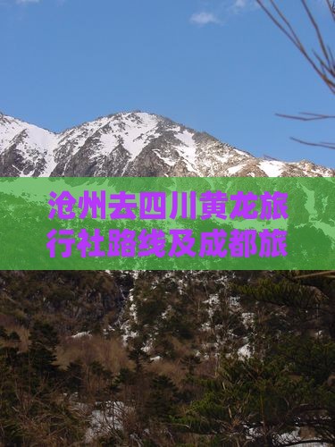 沧州去四川黄龙旅行社