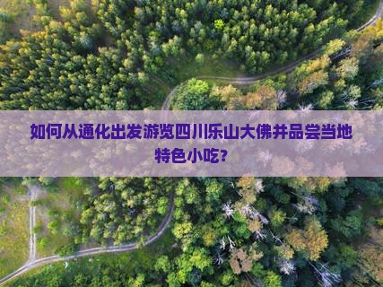 通化到四川乐山大佛旅游小吃