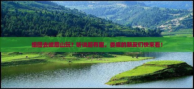 娄底去四川峨眉山团体旅游