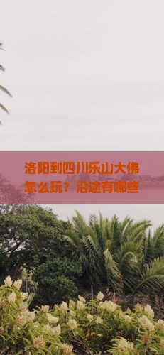 洛阳到四川乐山大佛哪里玩