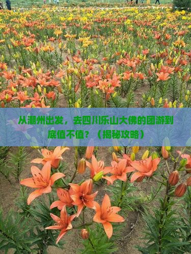 潮州去四川乐山大佛团体旅游 潮州去四川乐山大佛团体旅游