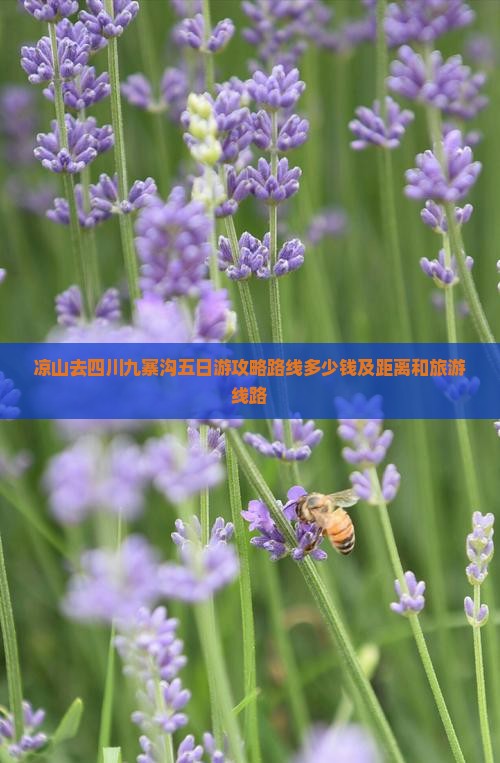 凉山去四川九寨沟五日游