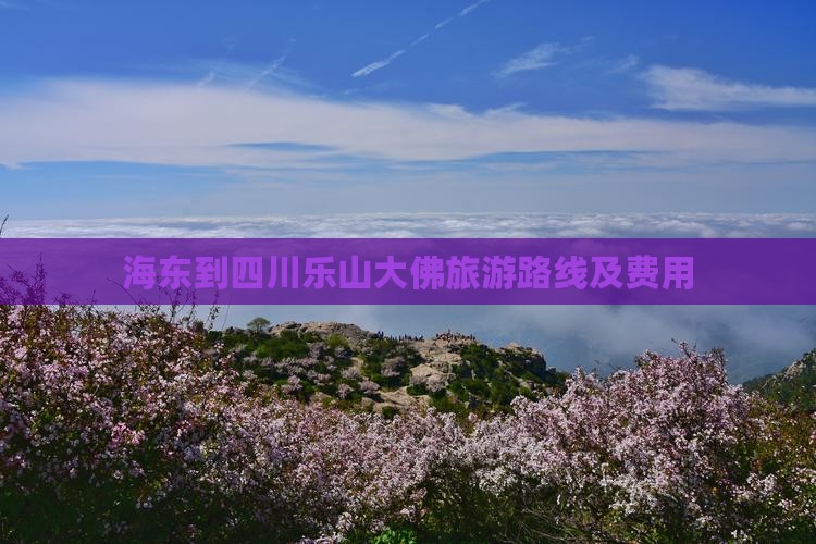 海东到四川乐山大佛旅游