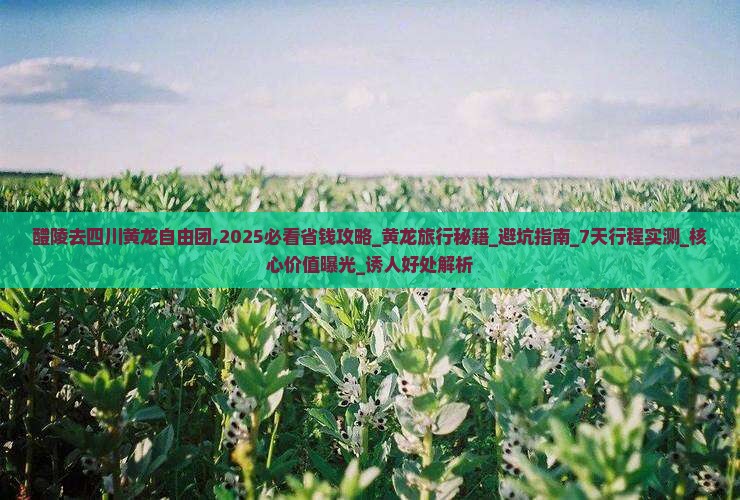 醴陵去四川黄龙自由团