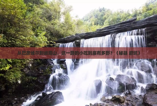 巴彦倬尔到四川峨眉山旅游小吃