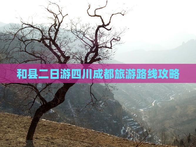 和县去四川成都二日游