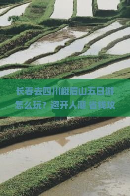 长春去四川峨眉山五日游