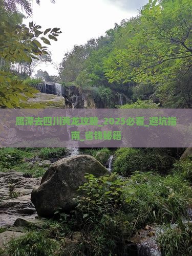 鹰潭去四川黄龙攻略
