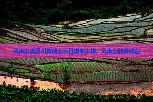 武夷山去四川青城山七日游