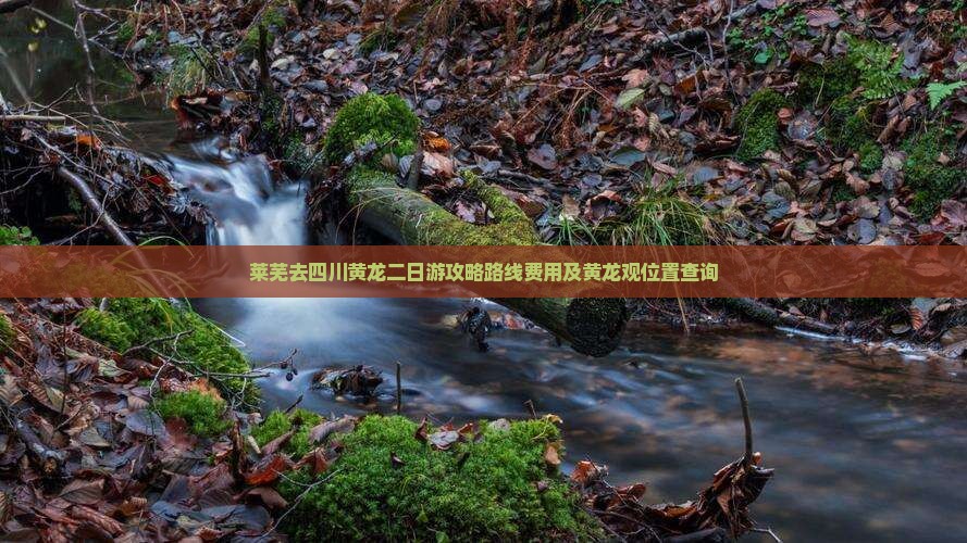 莱芜去四川黄龙二日游