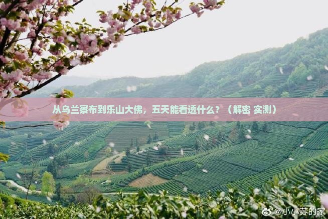 乌兰察布去四川乐山大佛五日游