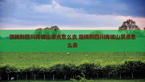 临猗到四川青城山景点
