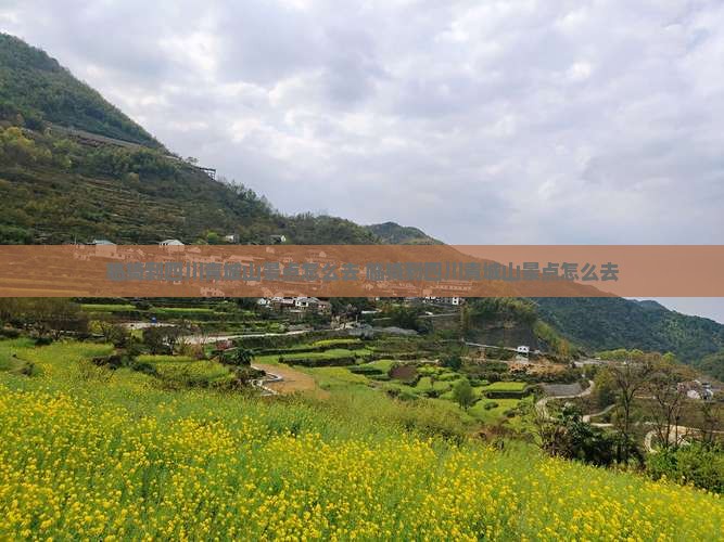 临猗到四川青城山景点