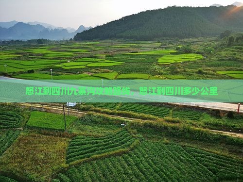 怒江到四川九寨沟攻略