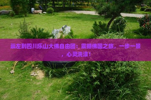 崇左到四川乐山大佛自由团
