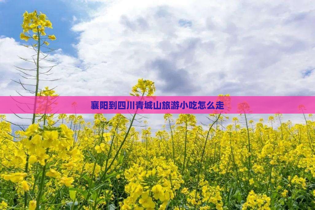 襄阳到四川青城山旅游小吃