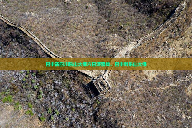 巴中去四川乐山大佛六日游