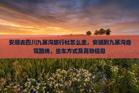安顺去四川九寨沟旅行社