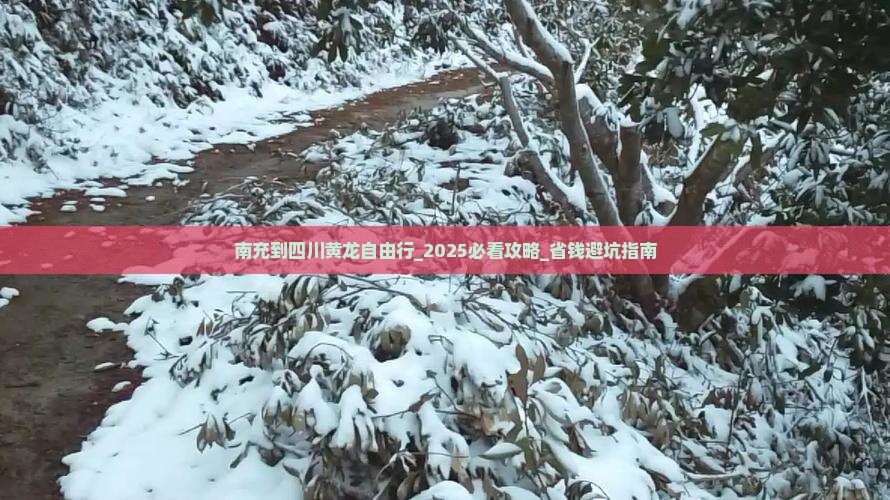 南充到四川黄龙自由行