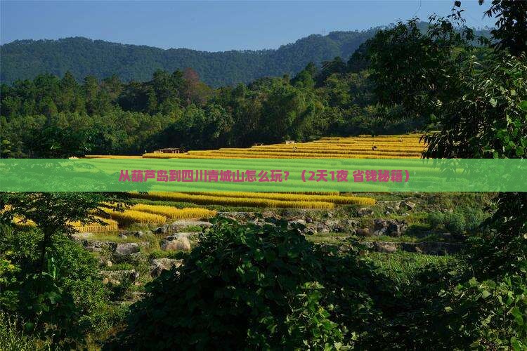葫芦岛去四川青城山哪里玩