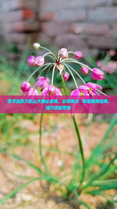 漯河去四川乐山大佛必去地