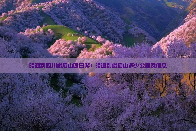 昭通到四川峨眉山四日游