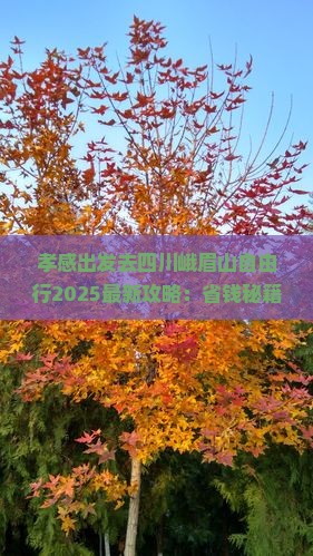 孝感到四川峨眉山自由行
