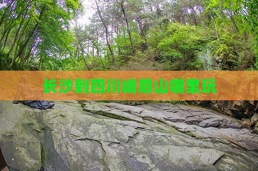长沙到四川峨眉山哪里玩