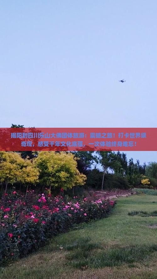 揭阳到四川乐山大佛团体旅游