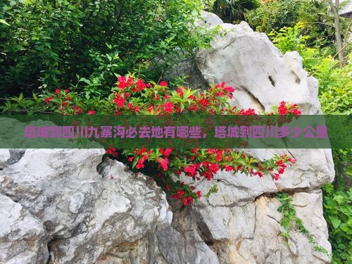 塔城到四川九寨沟必去地