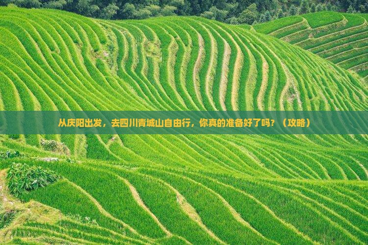 庆阳去四川青城山自由行