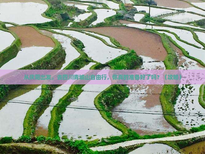 庆阳去四川青城山自由行