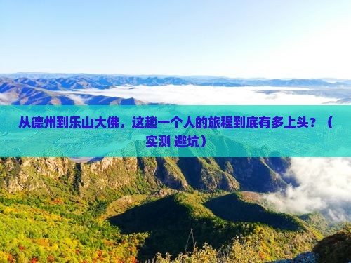 德州到四川乐山大佛个人游