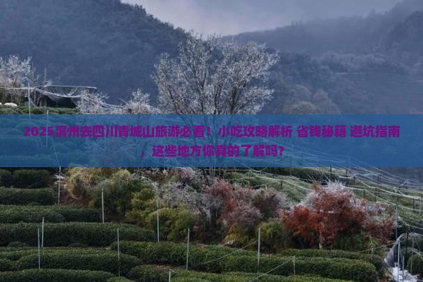 滨州去四川青城山旅游小吃
