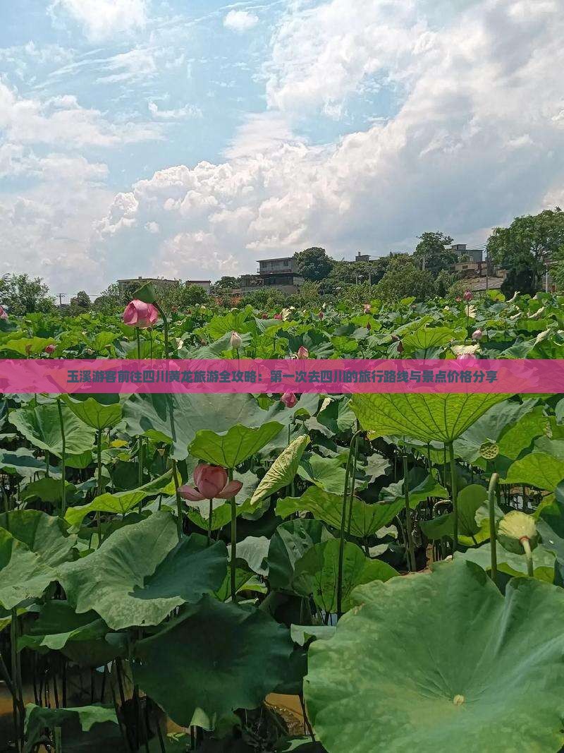 玉溪游客前往四川黄龙旅游全攻略：第一次去四川的旅行路线与景点价格分享