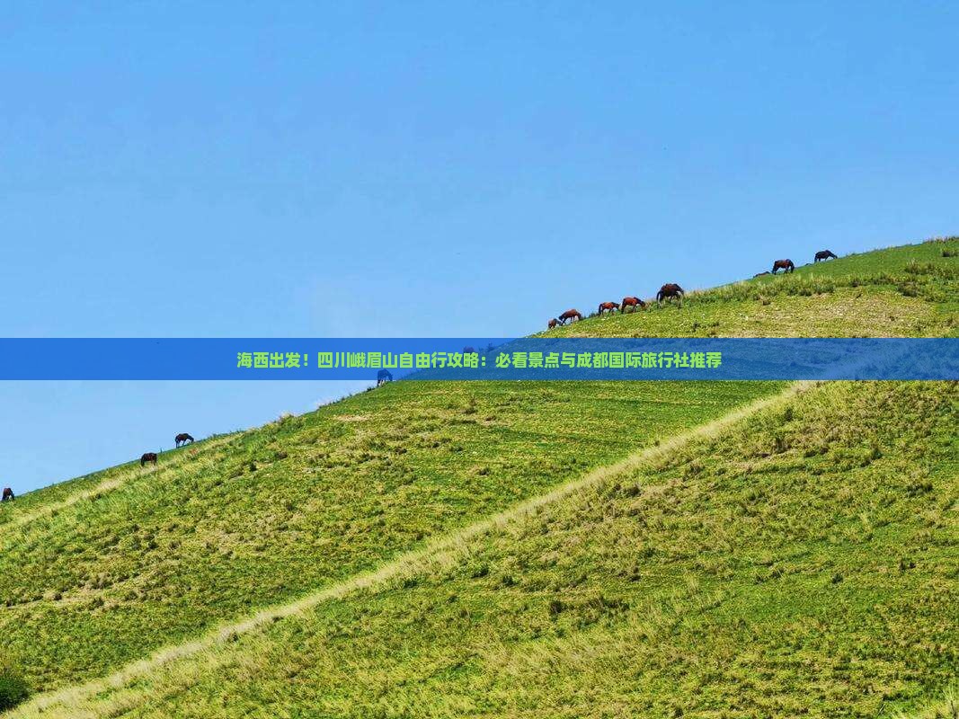 海西出发！四川峨眉山自由行攻略：必看景点与成都国际旅行社推荐