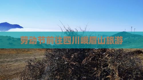 劳动节前往四川峨眉山旅游