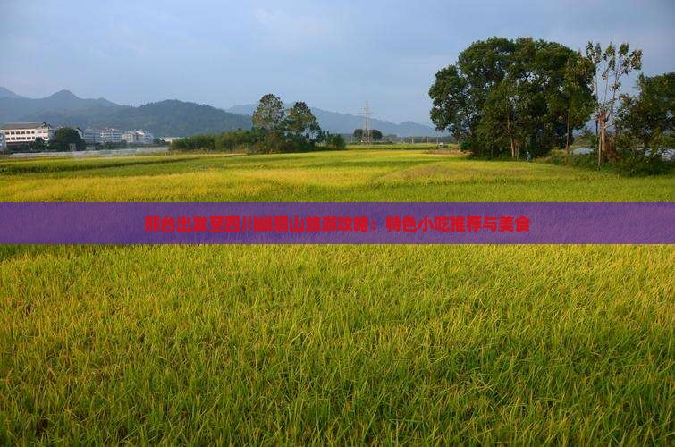 邢台出发至四川峨眉山旅游攻略：特色小吃推荐与美食